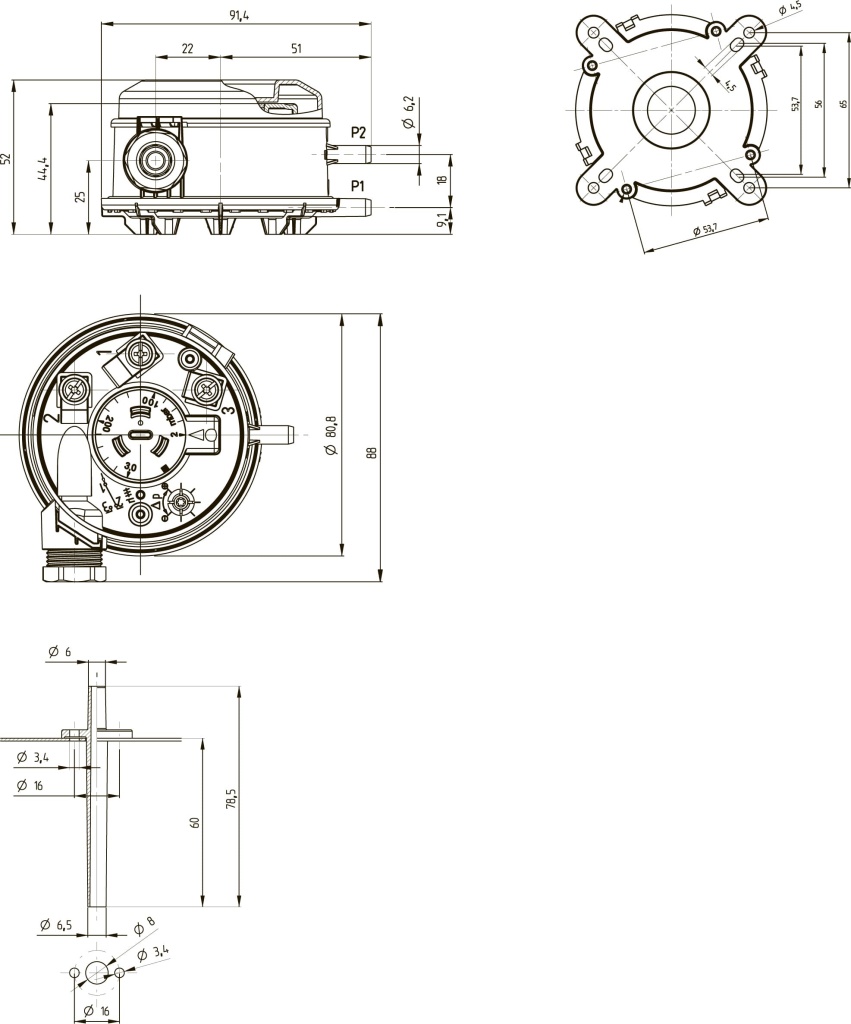 DPS-BD-4.jpg