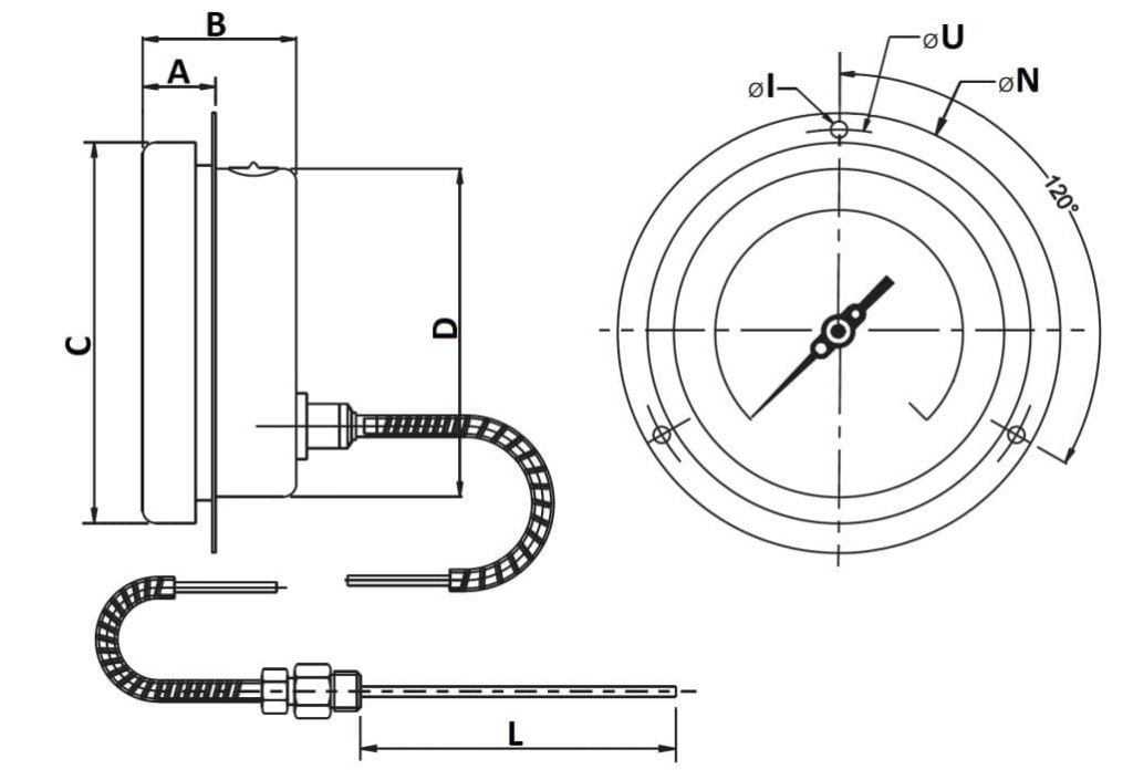 tgp-11.jpg