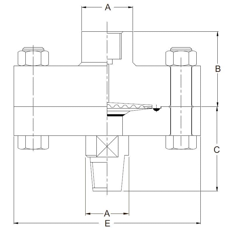 db05.jpg