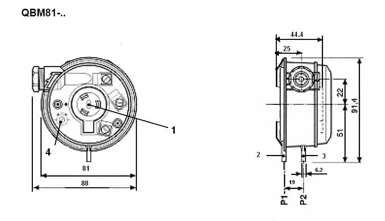 DPS-BD-5.jpg